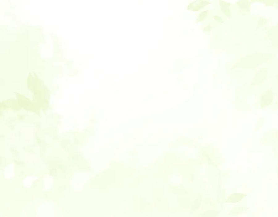 第204页