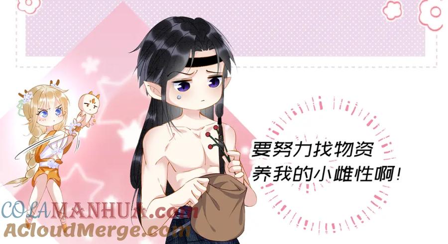 第185页