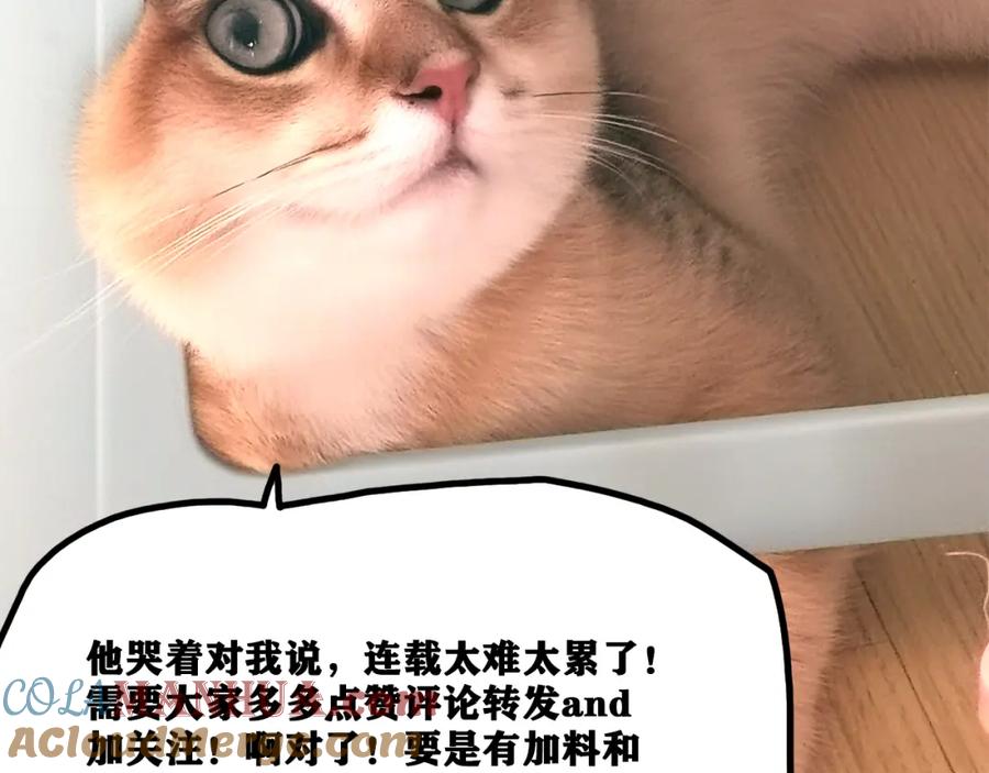第209页