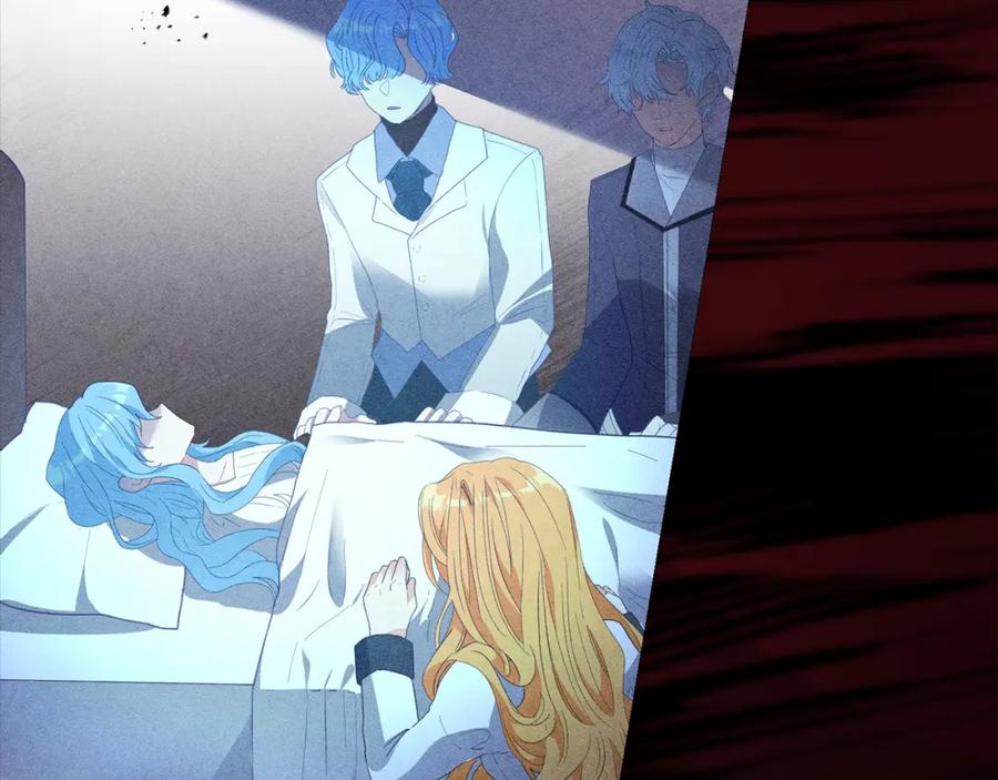 第231页