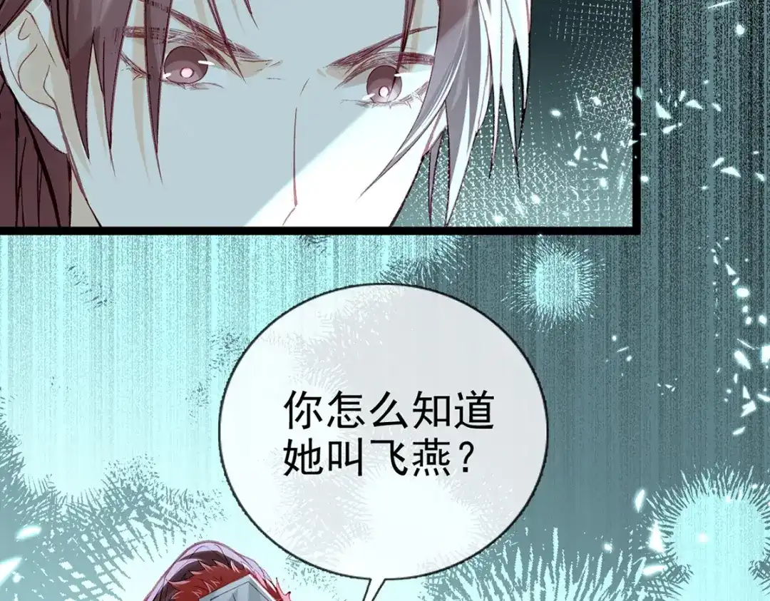 第217页
