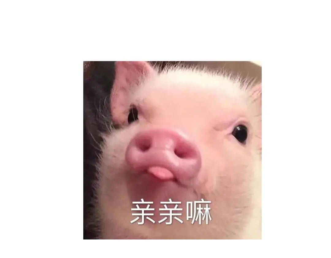第211页
