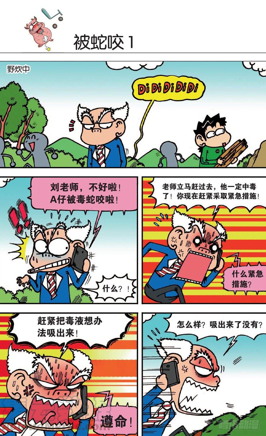 第11页