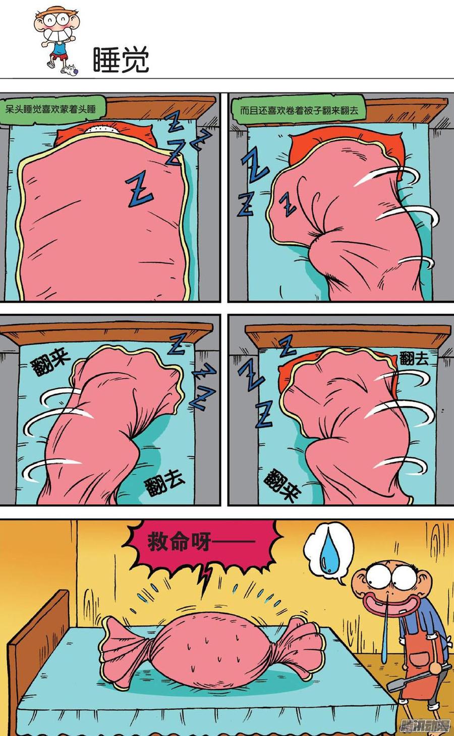 第5页