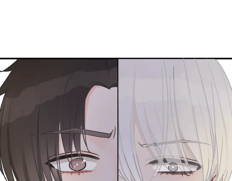第251页
