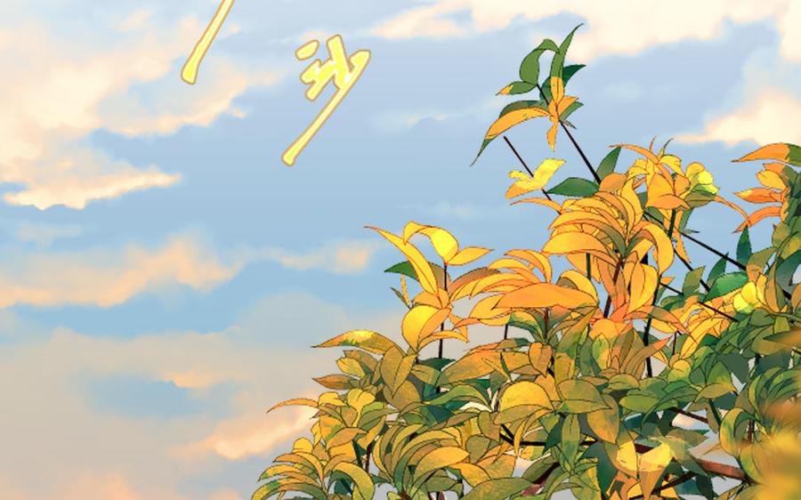 第127页