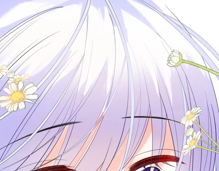 第215页