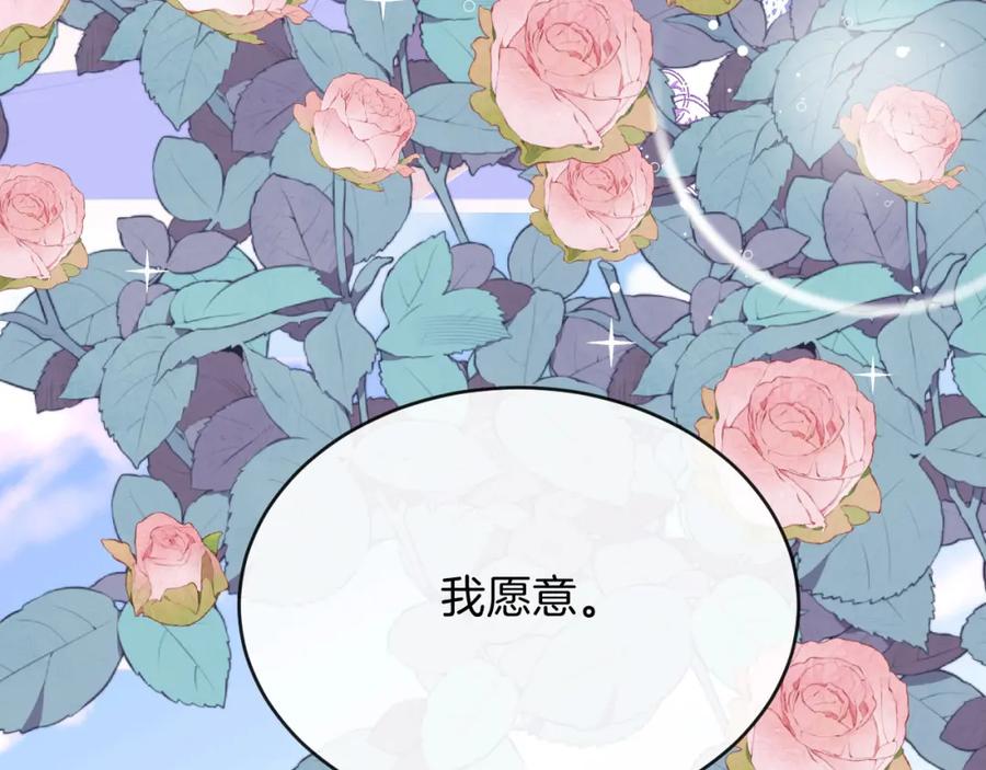 第238页