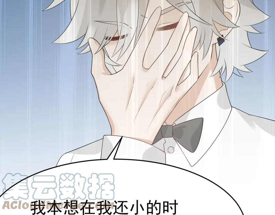 第185页
