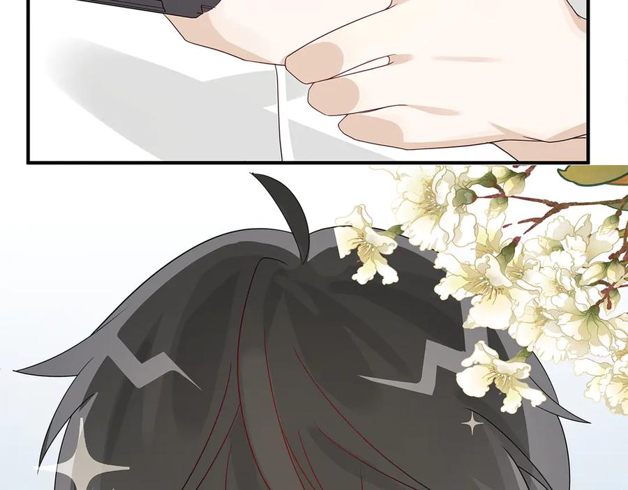 第256页