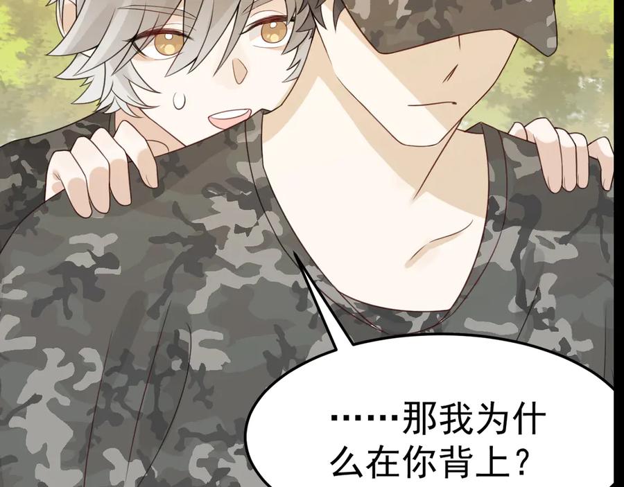 第260页