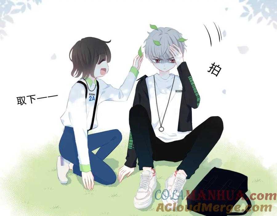 第55页