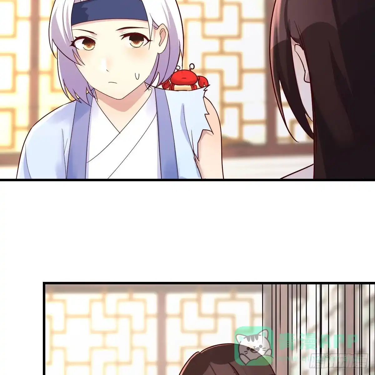 第51页