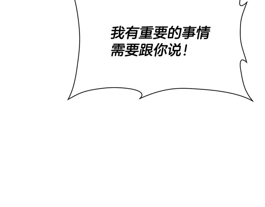 第223页