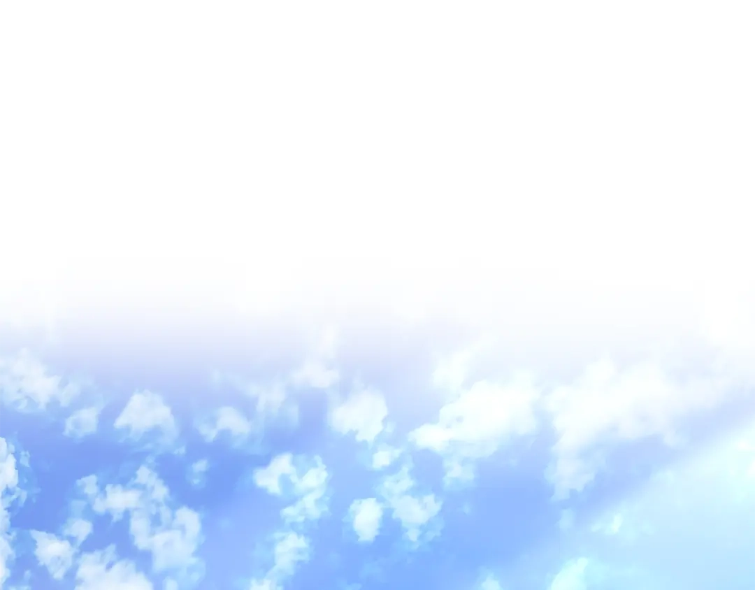 第240页
