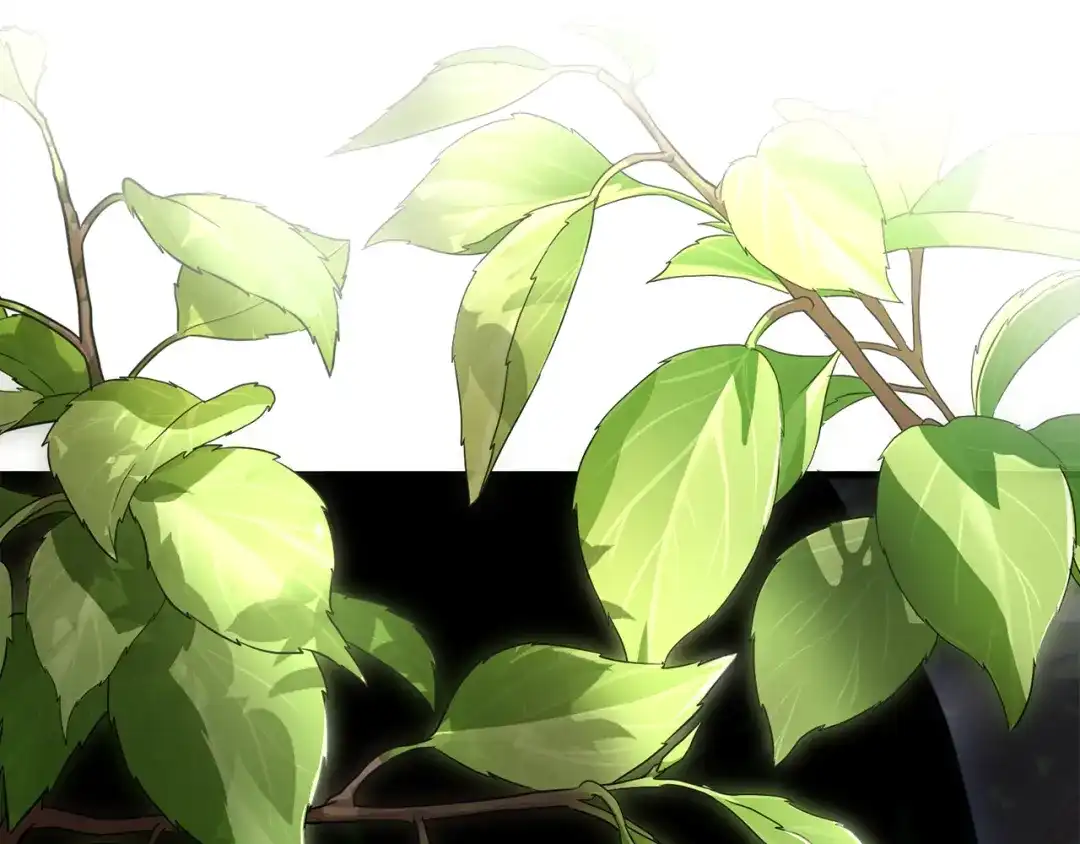 第210页