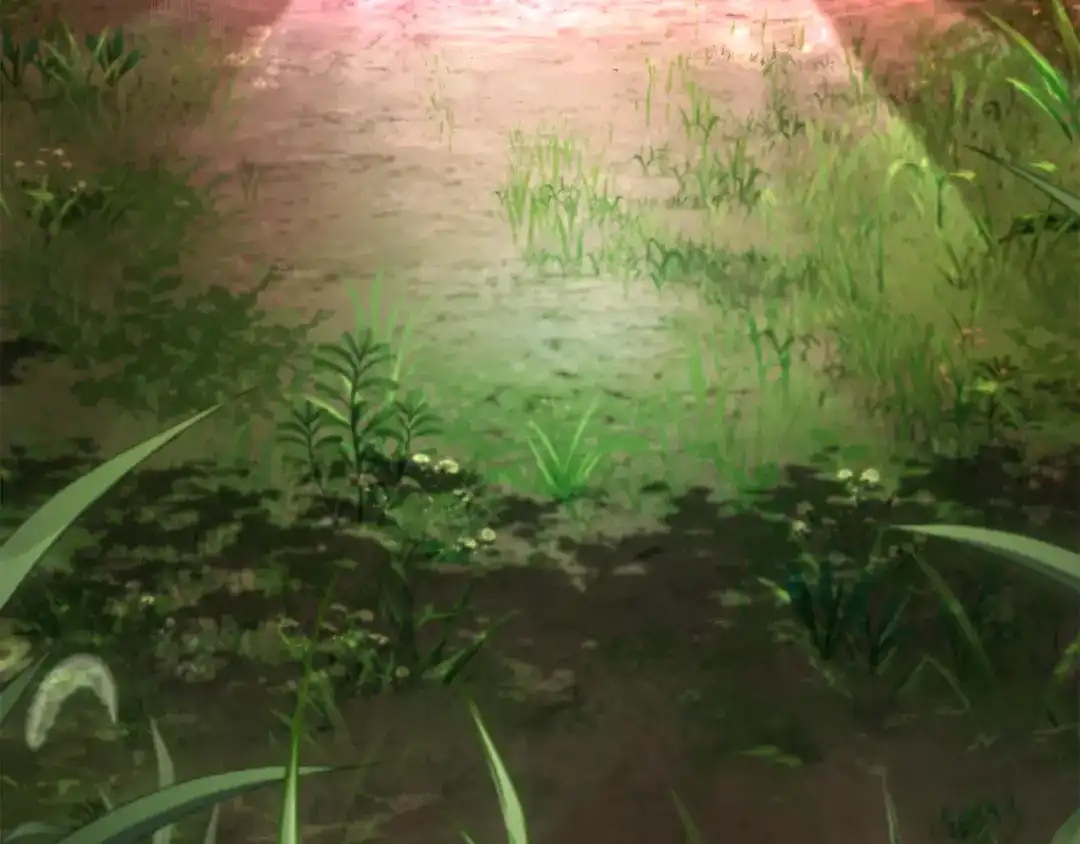 第218页