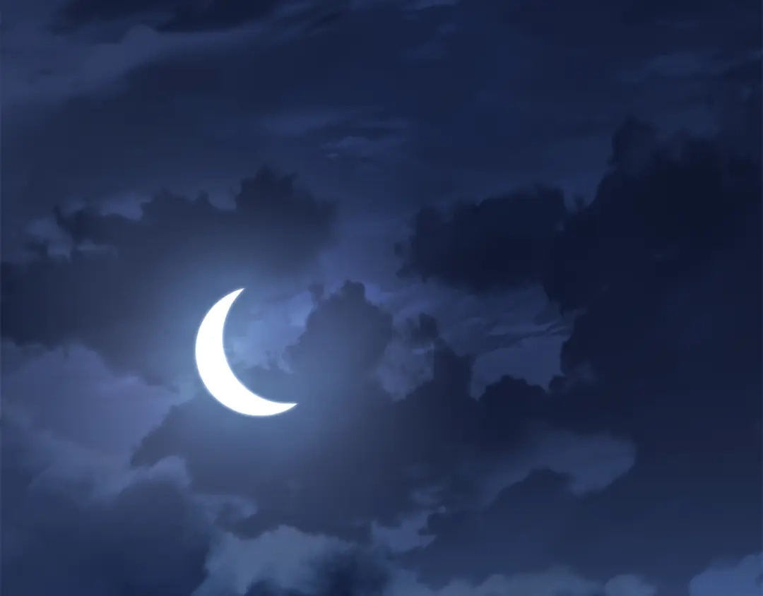 第155页