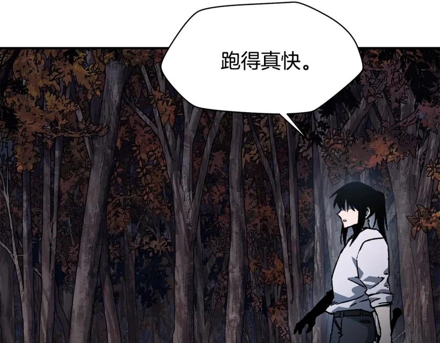 第240页