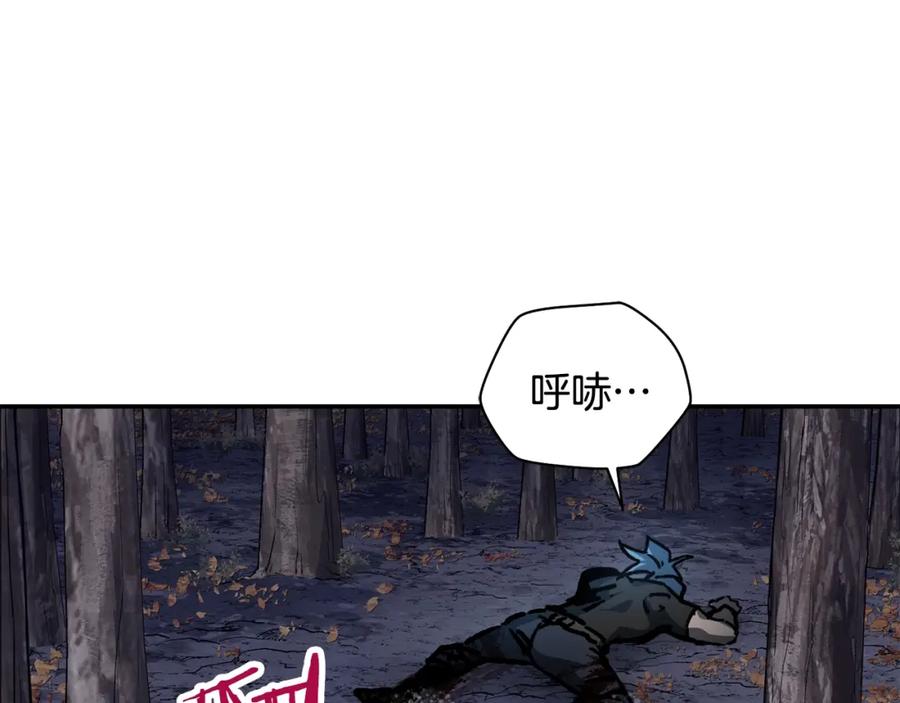第243页