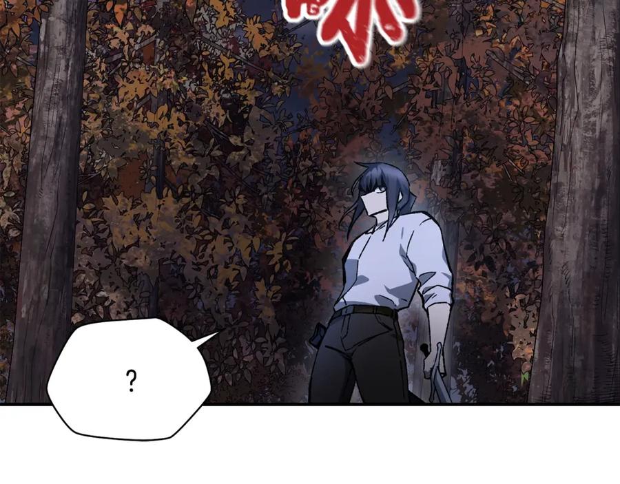 第255页