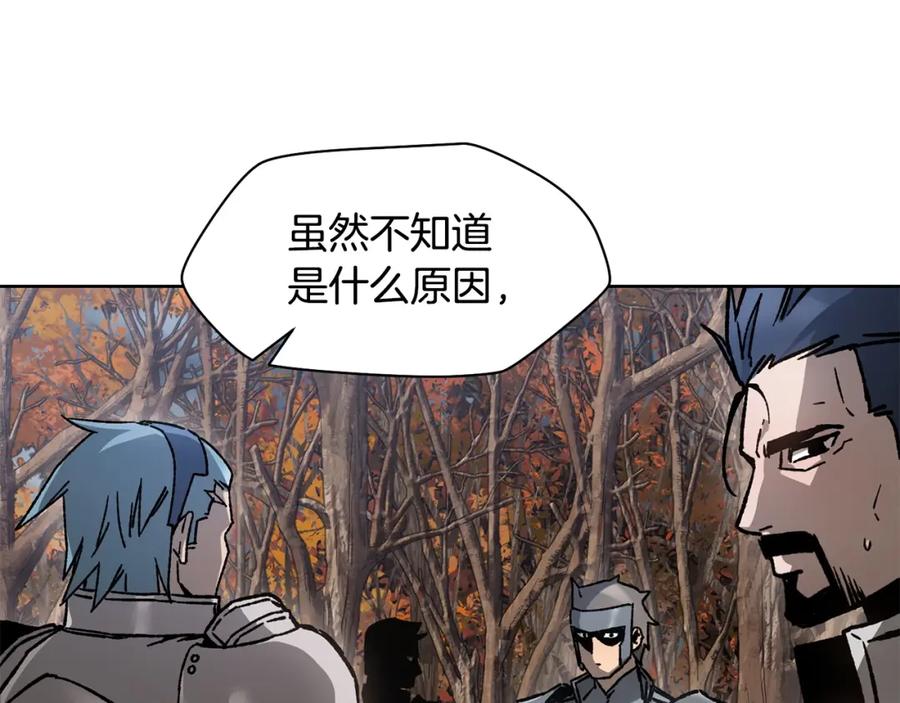 第196页