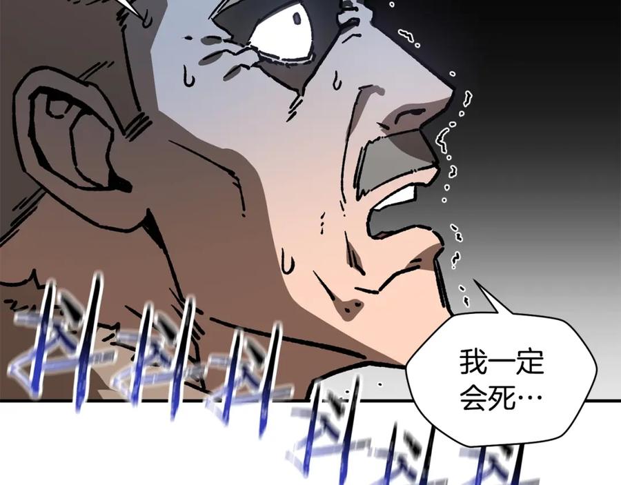 第204页