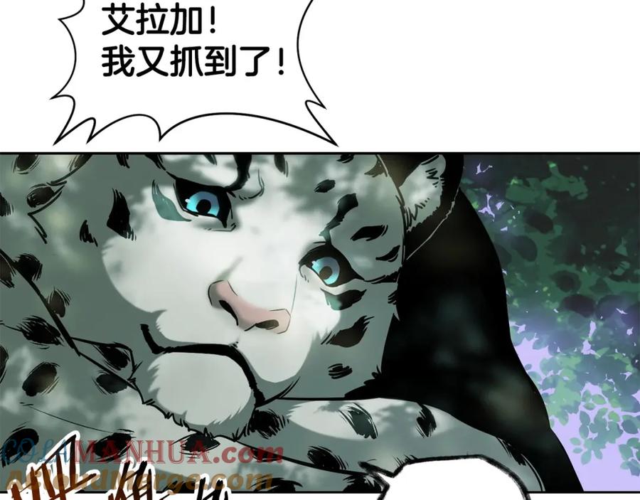 第185页