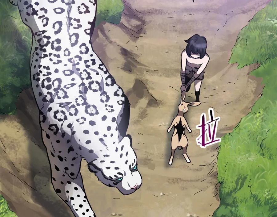 第207页