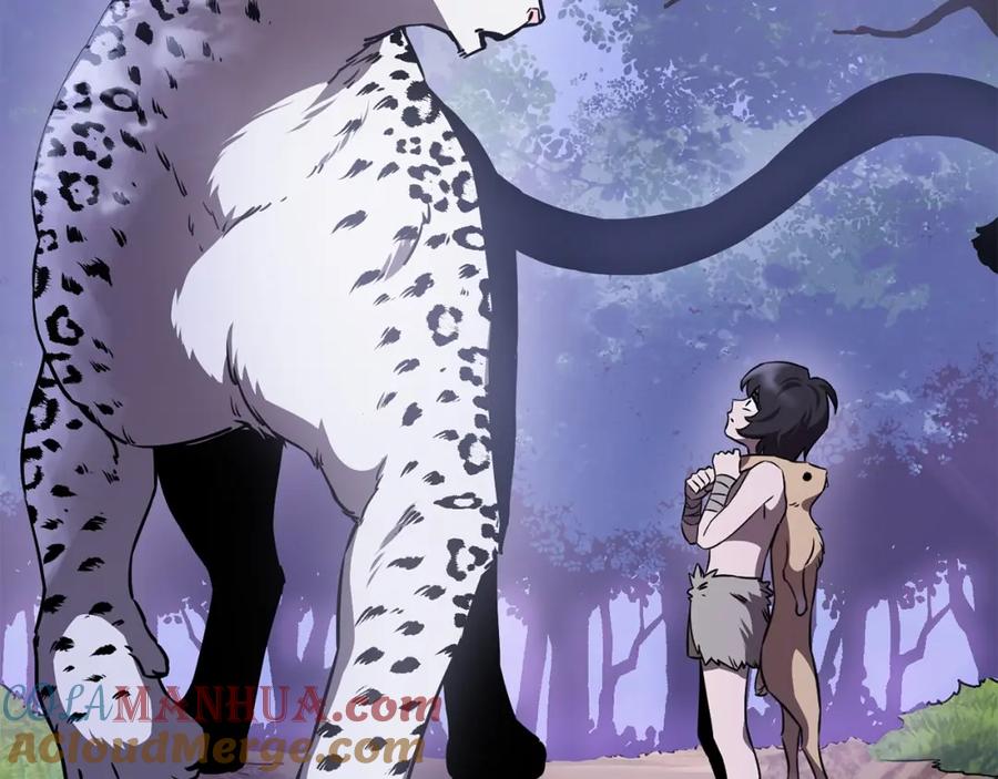 第217页