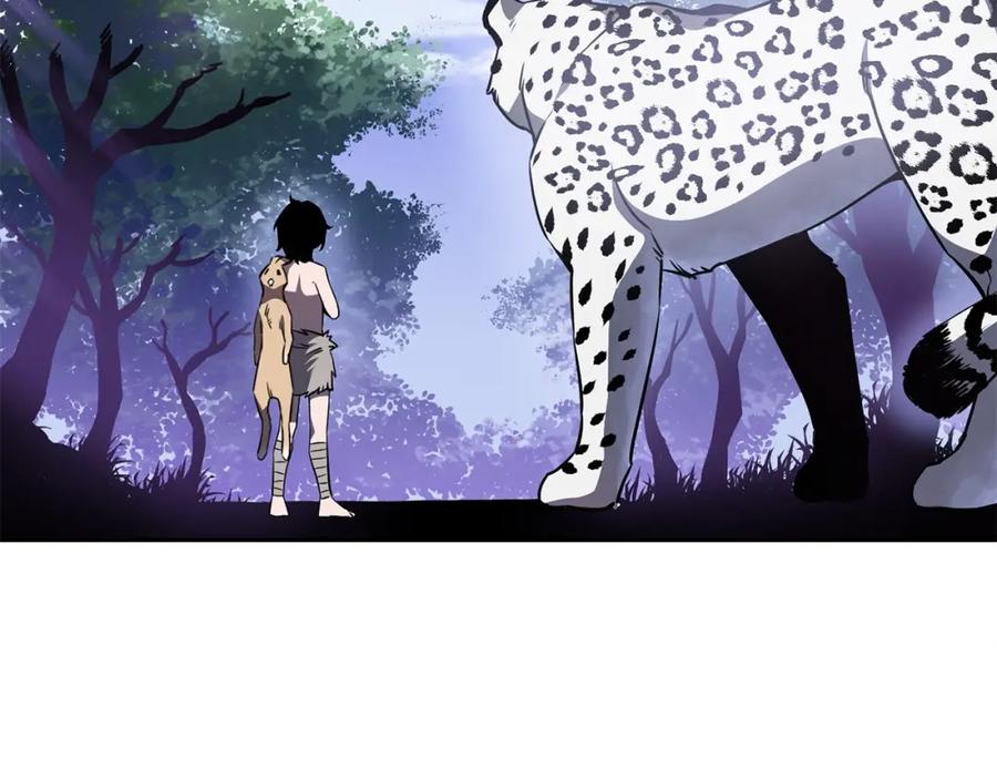 第223页