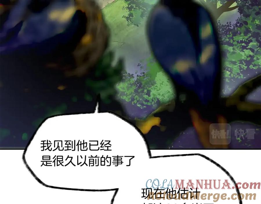 第241页