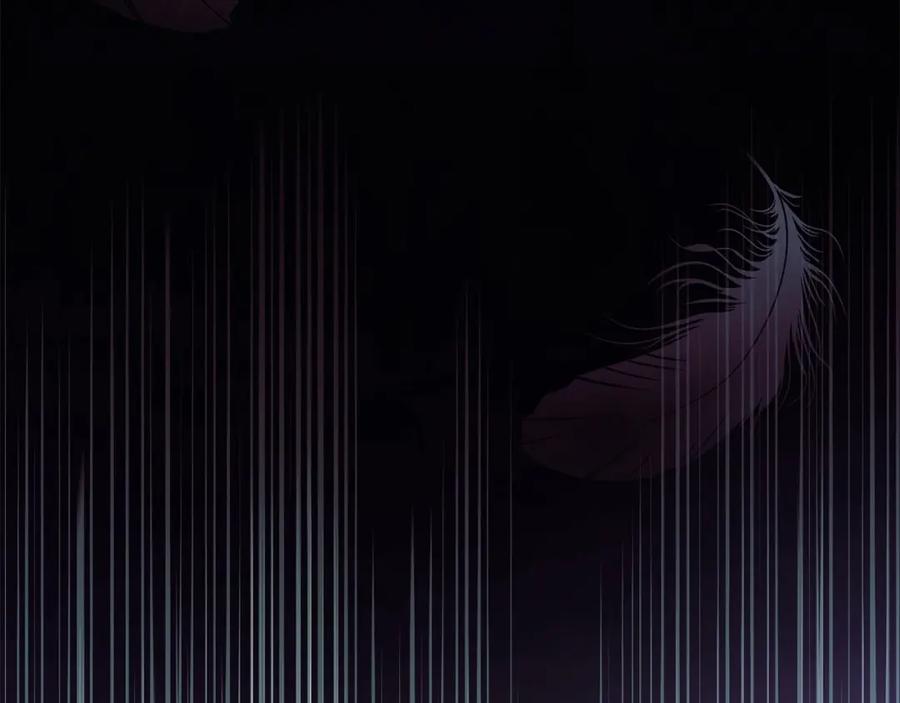 第247页
