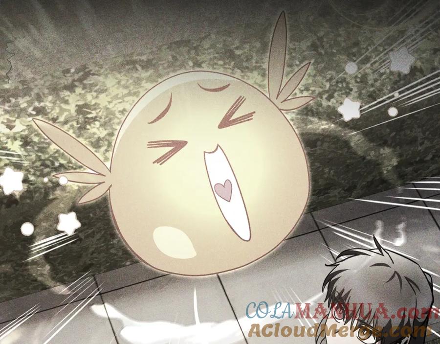 第217页