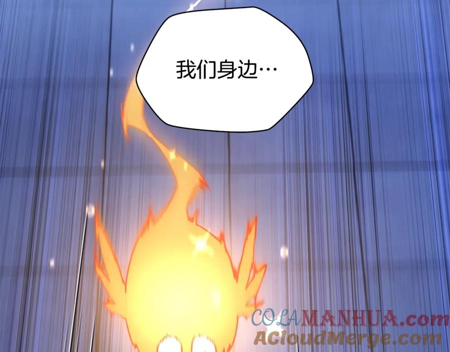 第241页
