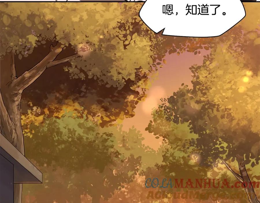 第205页
