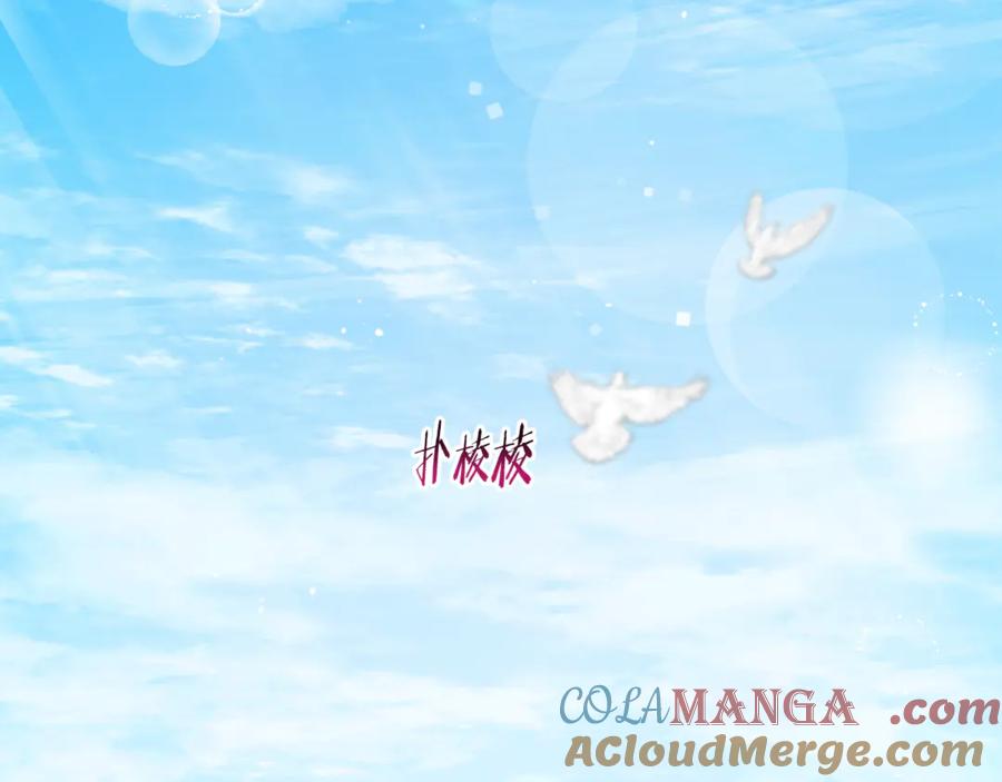 第205页