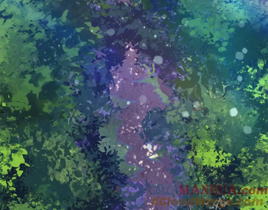 第205页
