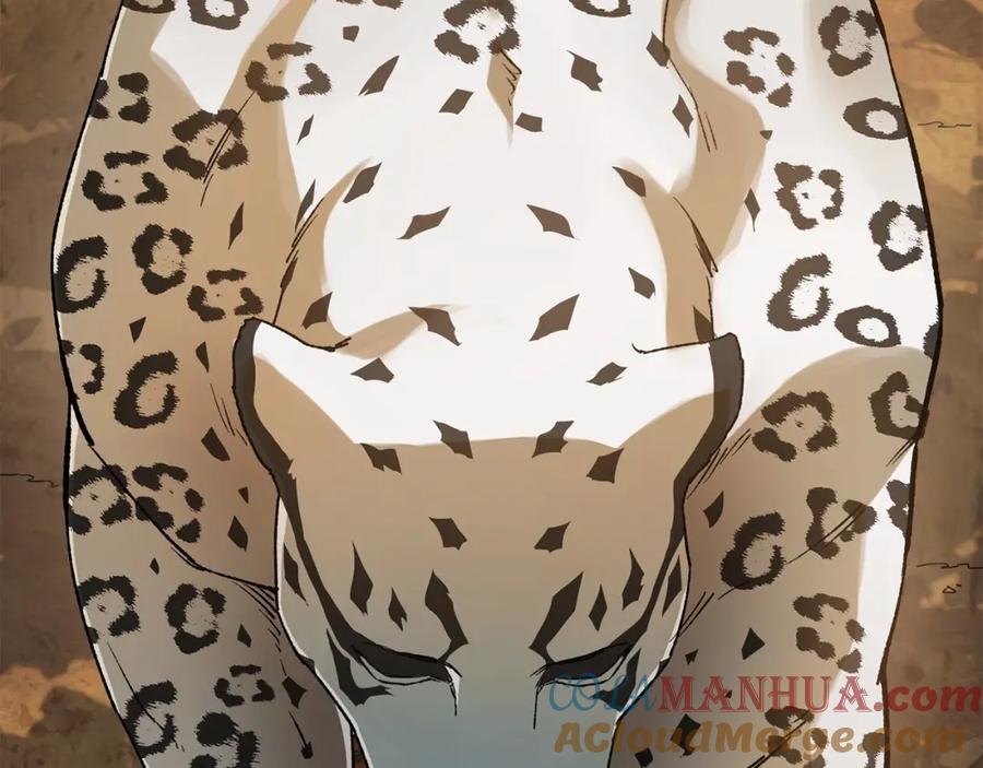 第205页