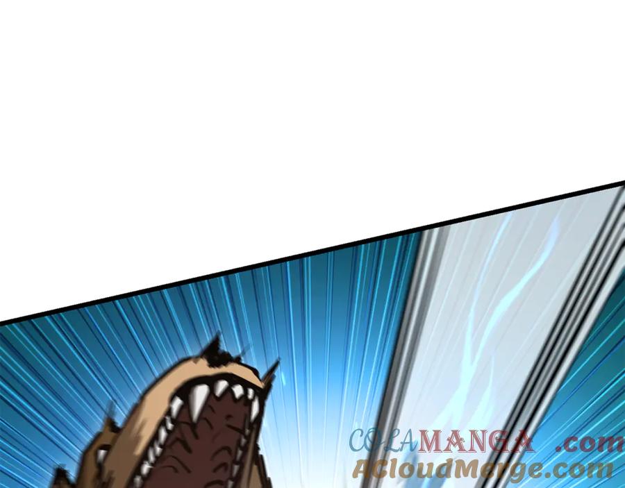 第205页