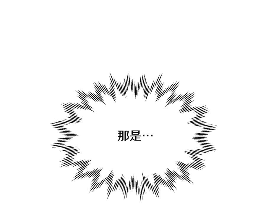 第242页