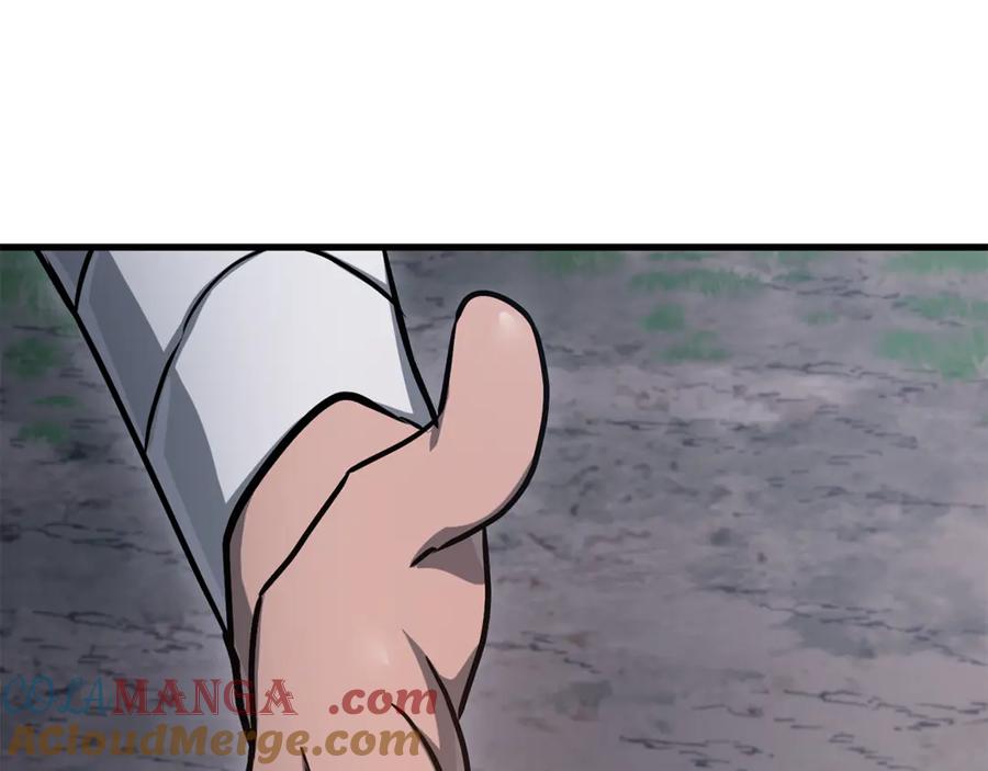第233页