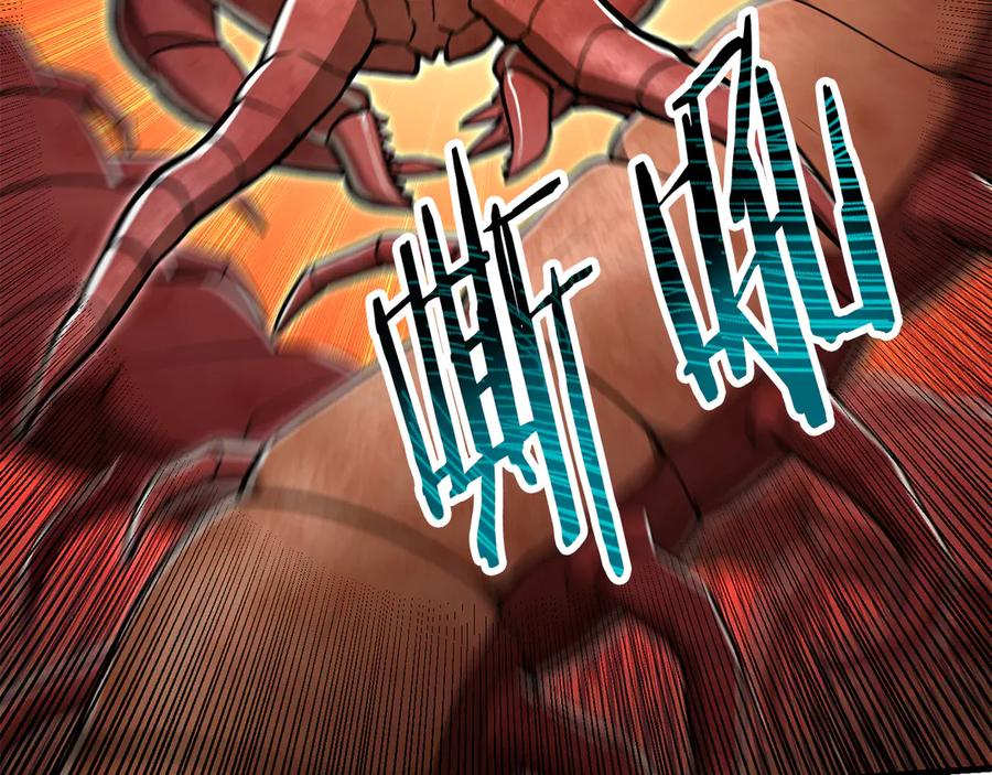 第234页