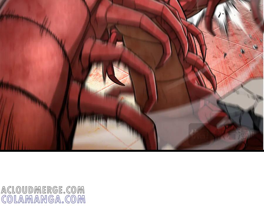 第237页