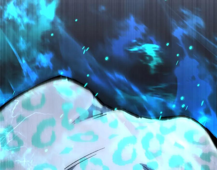 第204页