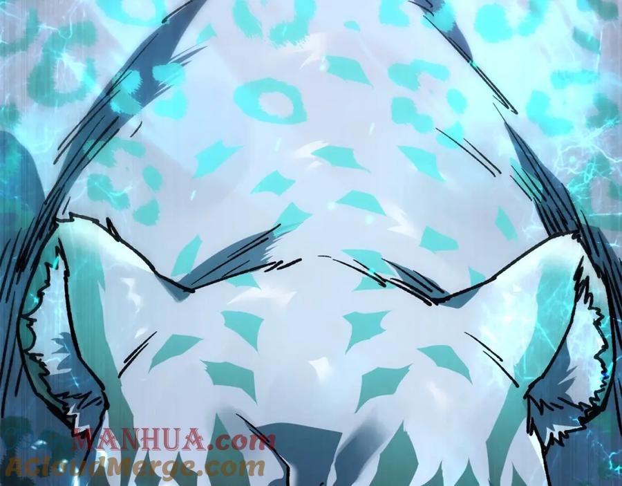 第205页