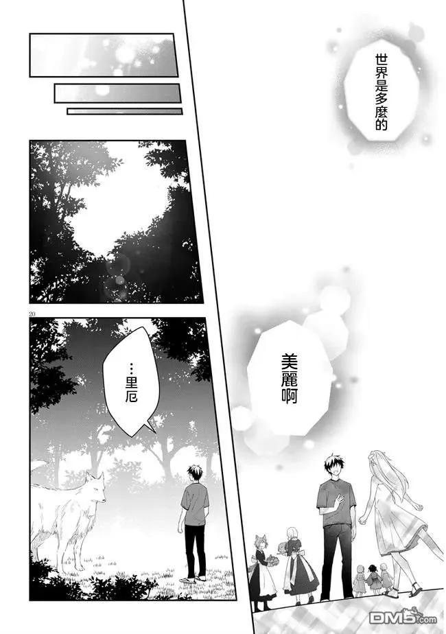 第20页