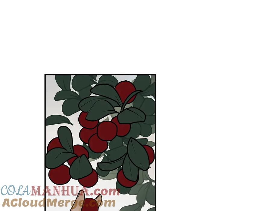 第237页