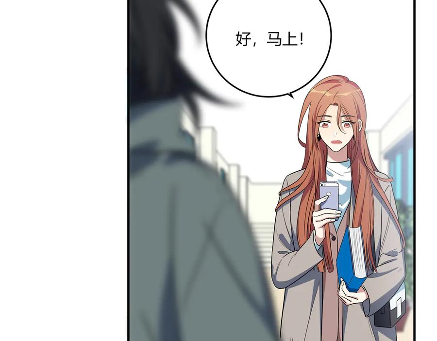 第204页