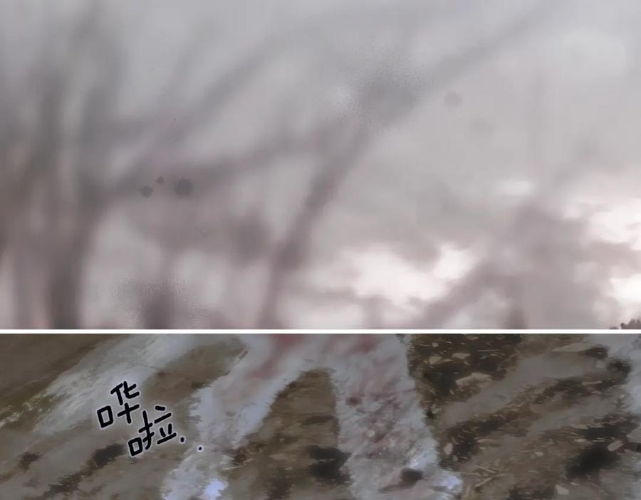 第195页